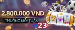 hit23
