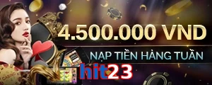 hit23