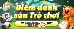 hit23