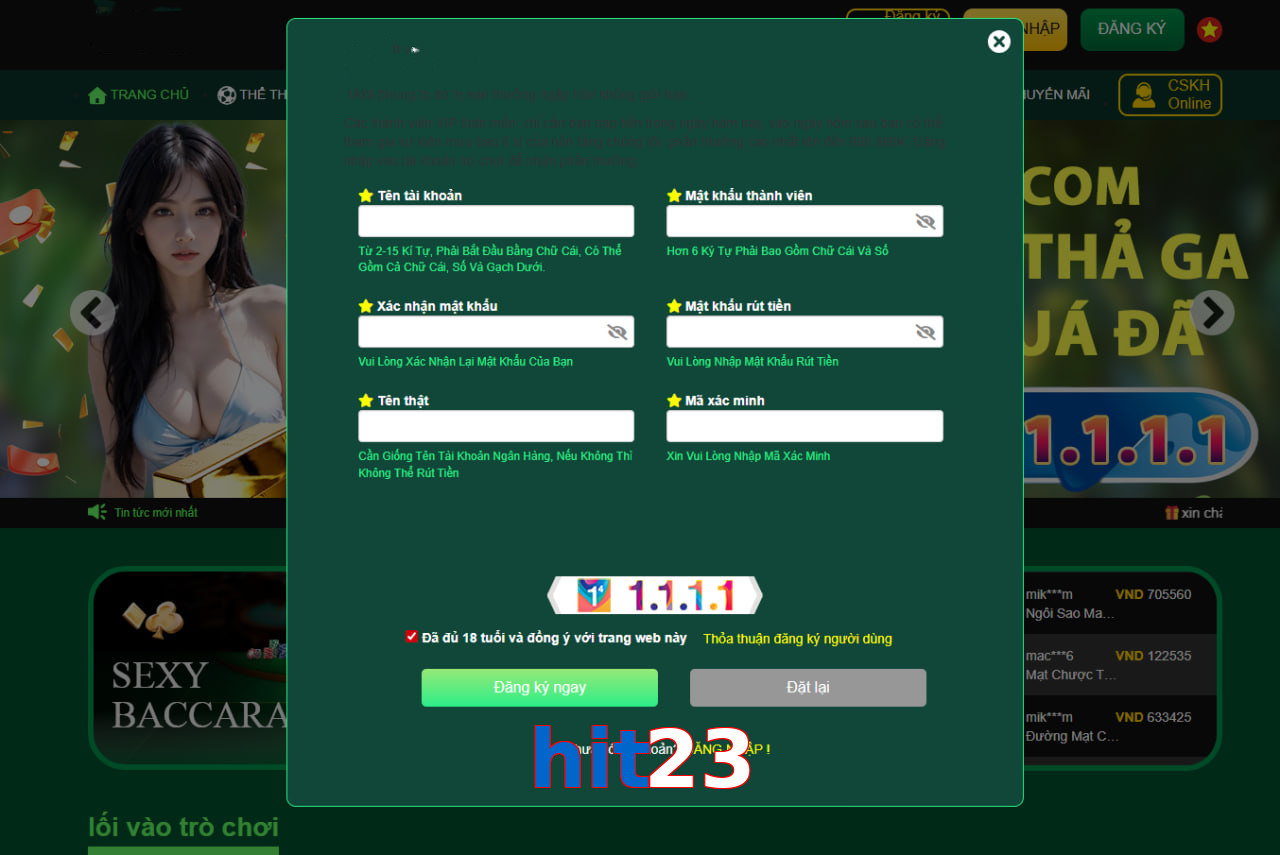 hit23